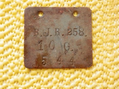 P3150004.JPG