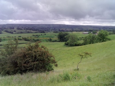 PICT0220.JPG