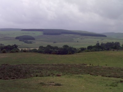 PICT0212.JPG