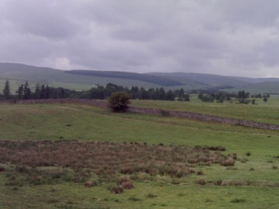 PICT0211.JPG