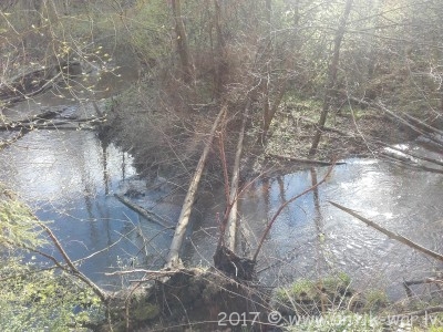 20170430_182854.jpg