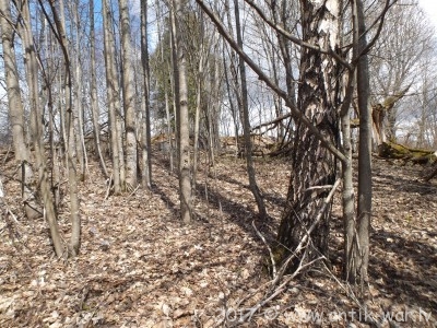 DSCF8445.JPG