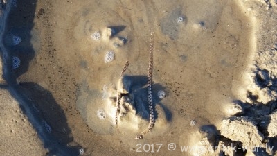 20170506_073457.jpg