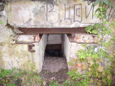 DSCI0247.JPG