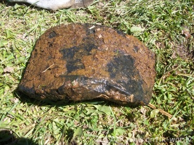 100_4953.JPG
