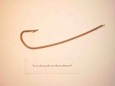 Simg1396.jpg