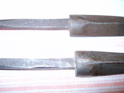 S8000613.JPG