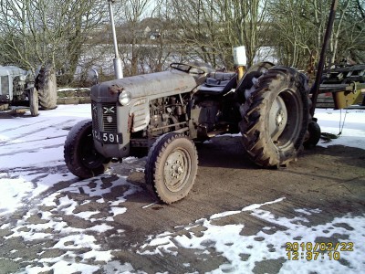 scotija 001.jpg