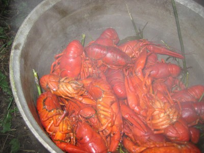 mi-mi 026.jpg