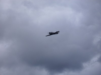 DSCI0060.JPG