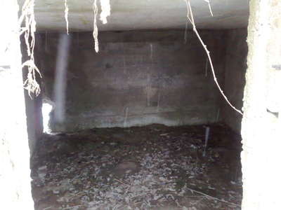 16122007589.jpg