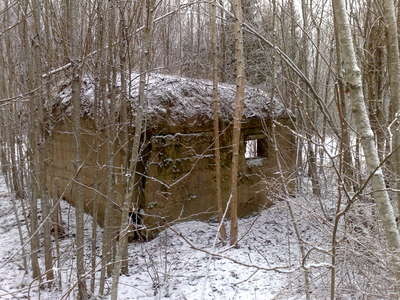 16122007586.jpg