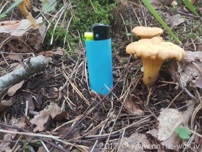 20170715_152654.jpg