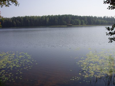 Picture 1620.jpg