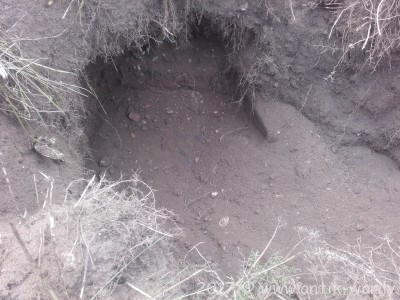 20170819_123355.jpg