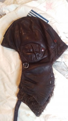 IMAG0010.jpg