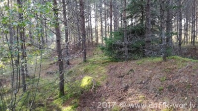 IMG_20170923_171406.jpg