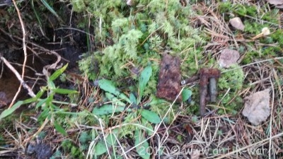 IMG_20170923_171744.jpg
