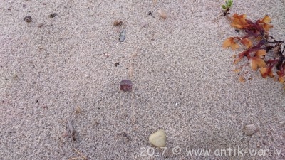 DSC_0658.JPG