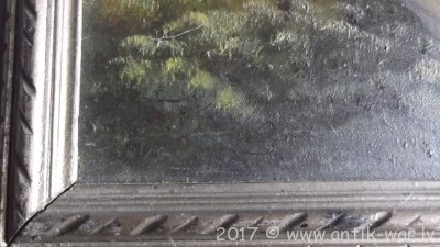 DSCF2913.JPG