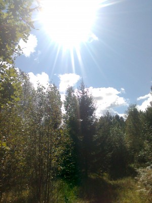 Fotoattēls0333.jpg
