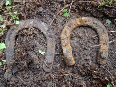 koknese 004.jpg