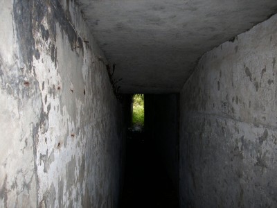 DSCI0006.JPG