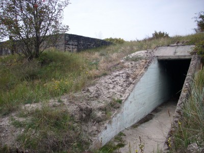 DSCI0082.JPG