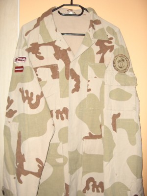 camo 004.jpg