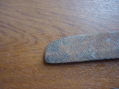P1000660.JPG