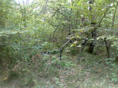 Ост-12.jpg