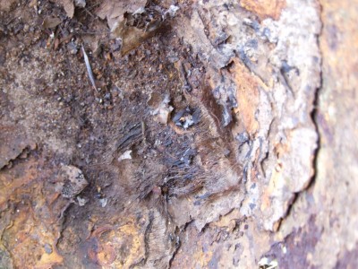 DSCF6209.JPG