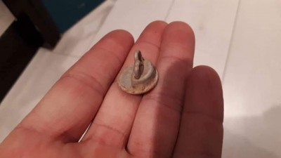 IMG-20180130-WA0010.jpg