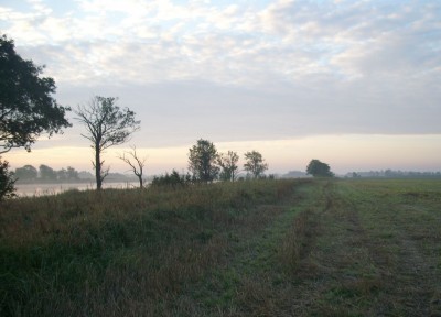 IMG_0244.JPG