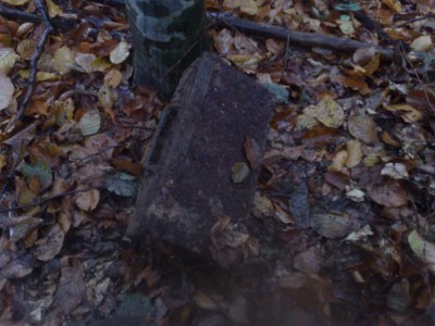 Пан-7.jpg