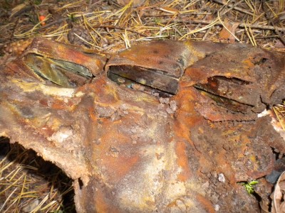 DSCN4696.JPG