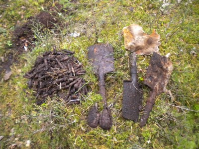 DSCN4690.JPG