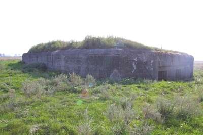 CRW_1214_RT16.jpg