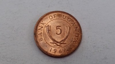Uganda 5 cents 1966.jpg