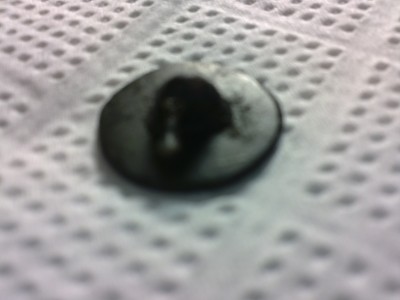 22102010030.JPG