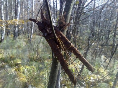 Нед-4.jpg