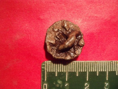 2255.JPG