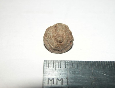 DSCN0127.JPG
