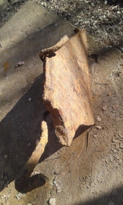 20180323_093816.jpg