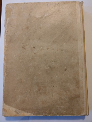 IMAG0834.jpg