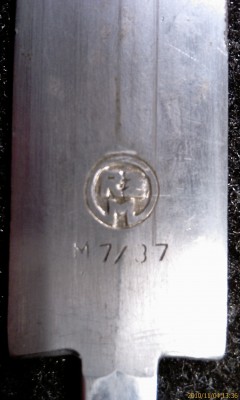 IMAG0050.jpg