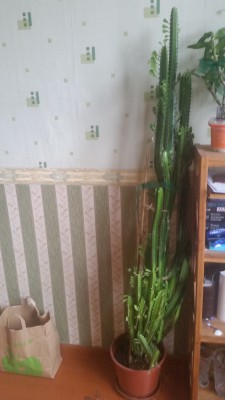20180331_111013.jpg