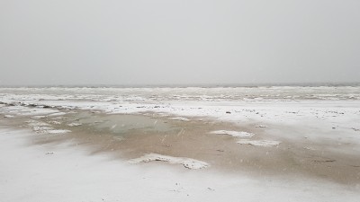 20180402_084654.jpg
