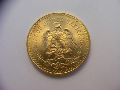 DSCF4142.JPG