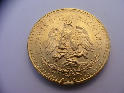 DSCF4606.JPG